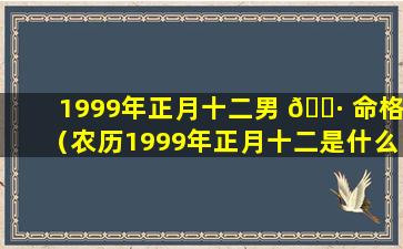 1999年正月十二男 🕷 命格（农历1999年正月十二是什么星座 🦟 ）